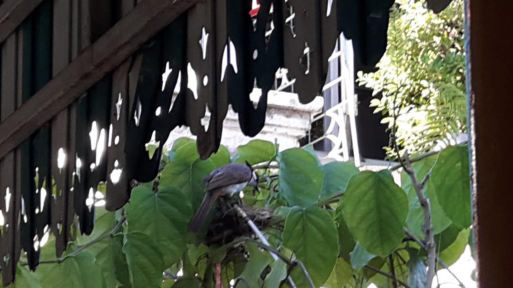 Hotel Hom Baan Čiang Mai Exteriér fotografie